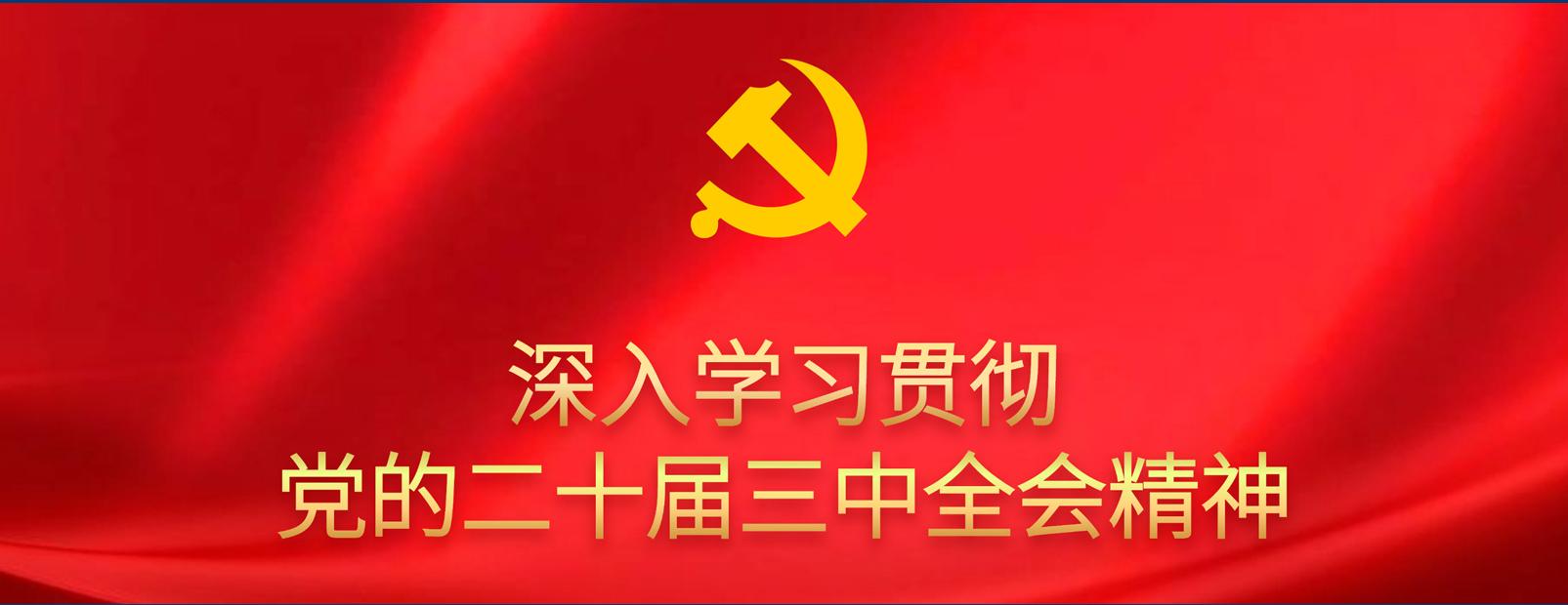 深入学习贯彻党的二十届三中全会...